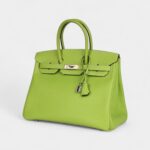 Hermès Birkin 35 Kiwi Candy Epsom Palladium Hardware