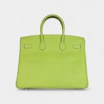 Hermès Birkin 35 Kiwi Candy Epsom Palladium Hardware