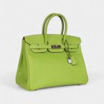 Hermès Birkin 35 Kiwi Candy Epsom Palladium Hardware