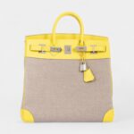Hermès Birkin 40 Lime & Ficelle Evercolor Toile De Camp Palladium Hardware