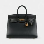 Hermès Birkin Sellier 25 Vert Fonce Box Gold Hardware