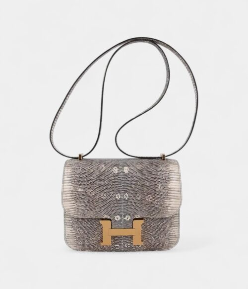 Hermes Constance Bag 18 Ombre Lizard Gold Hardware
