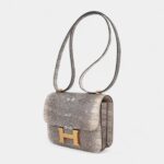 Hermes Constance Bag 18 Ombre Lizard Gold Hardware