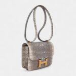 Hermes Constance Bag 18 Ombre Lizard Gold Hardware