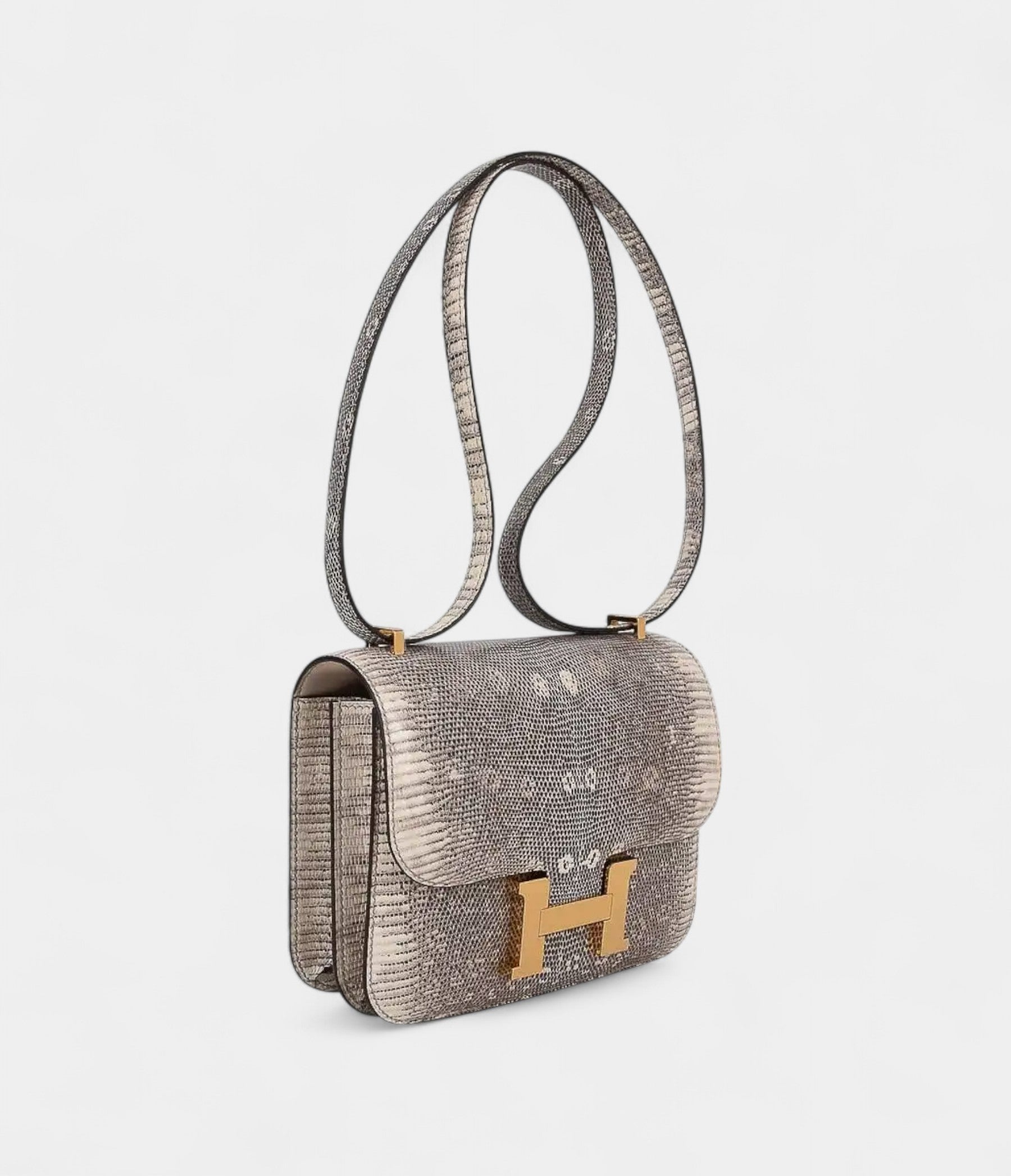 Hermes Constance Bag 18 Ombre Lizard Gold Hardware