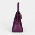 Hermes Kelly 25 Anemone Chevre Mysore Palladium Hardware
