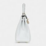 Hermes Kelly 25 Platinum Grey Togo Permabrass Hardware