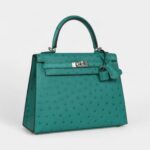 Hermes Kelly 25 Verone Ostrich Palladium Hardware
