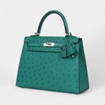 Hermes Kelly 25 Verone Ostrich Palladium Hardware