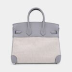 Hermes Limited Edition Glacier Blue Swift and Ecru Canvas Birkin 25 Palladium Hardware