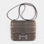 Hermes Limited Edition Mini Constance 18 Desert Lizard Palladium Hardware