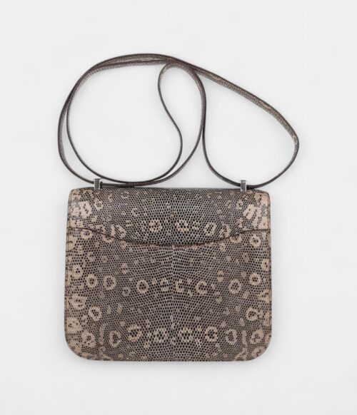 Hermes Limited Edition Mini Constance 18 Desert Lizard Palladium Hardware
