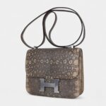 Hermes Limited Edition Mini Constance 18 Desert Lizard Palladium Hardware