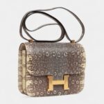 Hermès Mini Constance 18 Ombre Lizard Varanus Salvator Gold Hardware