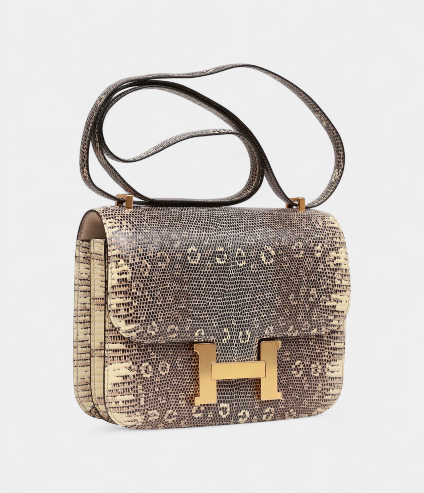 Hermès Mini Constance 18 Ombre Lizard Varanus Salvator Gold Hardware