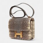 Hermès Mini Constance 18 Ombre Lizard Varanus Salvator Gold Hardware