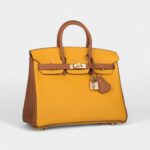 Hermès Birkin 25 Jaune Ambre and Gold Togo Permabrass Hardware