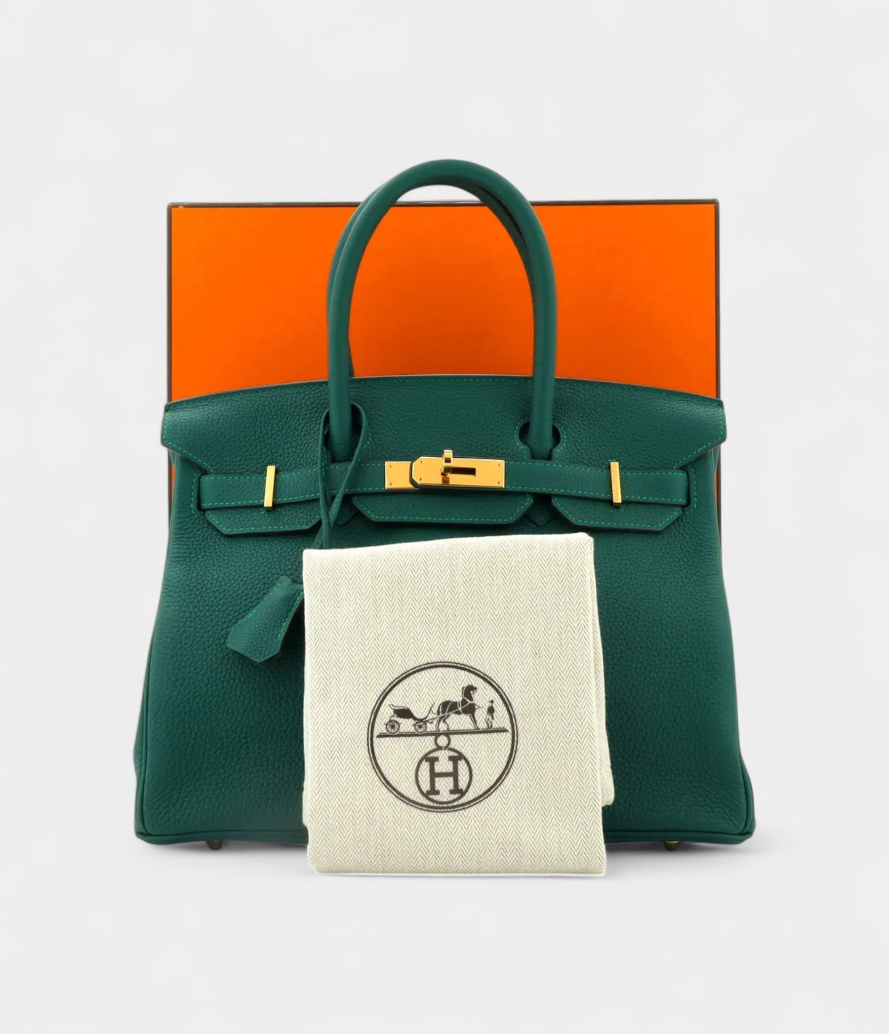 Hermès Birkin 30 A Timeless Icon in Leather