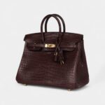 Hermès Birkin 25 Rouge Sellier Matte Porosus Crocodile Gold Hardware