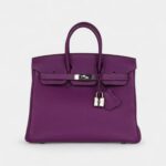 Hermès Birkin 25 Anemone Togo Palladium Hardware