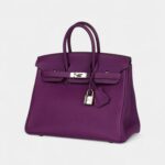 Hermès Birkin 25 Anemone Togo Palladium Hardware