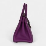 Hermès Birkin 25 Anemone Togo Palladium Hardware