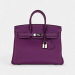 Hermès Birkin 25 Anemone Togo Palladium Hardware