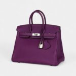 Hermès Birkin 25 Anemone Togo Palladium Hardware