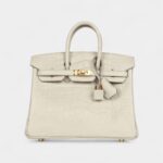 Hermès Birkin 25 Beton Matte Alligator Gold Hardware