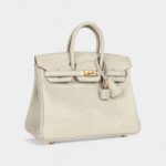 Hermès Birkin 25 Beton Matte Alligator Gold Hardware