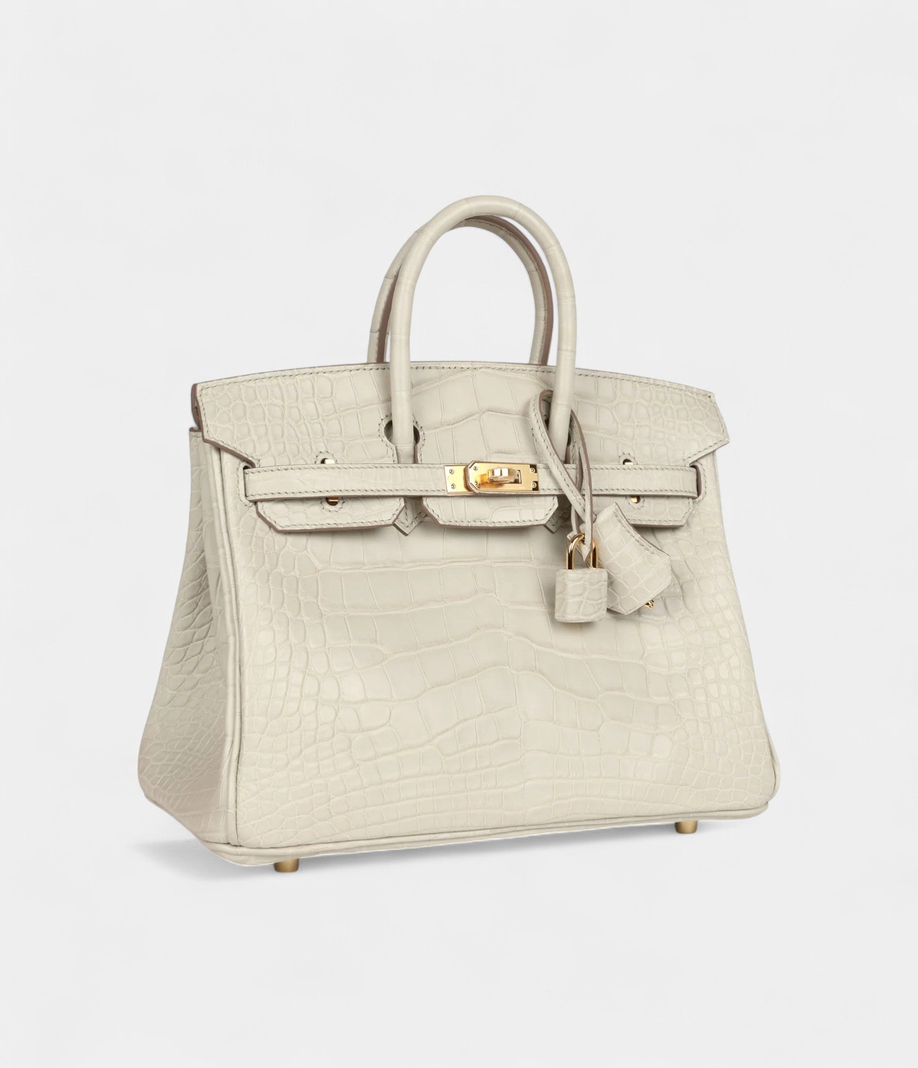 Hermès Birkin 25 Beton Matte Alligator Gold Hardware