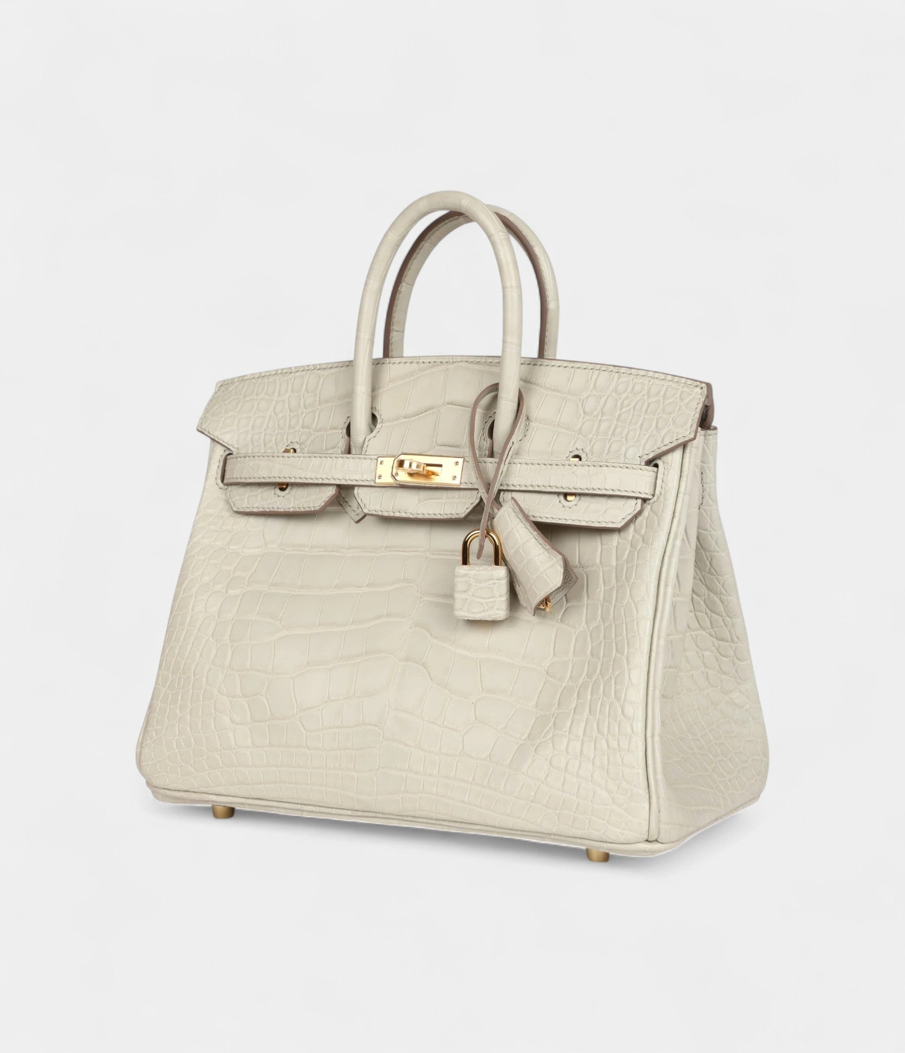 Hermès Birkin 25 Beton Matte Alligator Gold Hardware