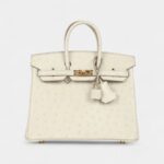 Hermès Birkin 25 Beton Ostrich Gold Hardware