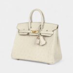 Hermès Birkin 25 Beton Ostrich Gold Hardware