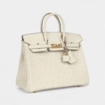 Hermès Birkin 25 Beton Ostrich Gold Hardware