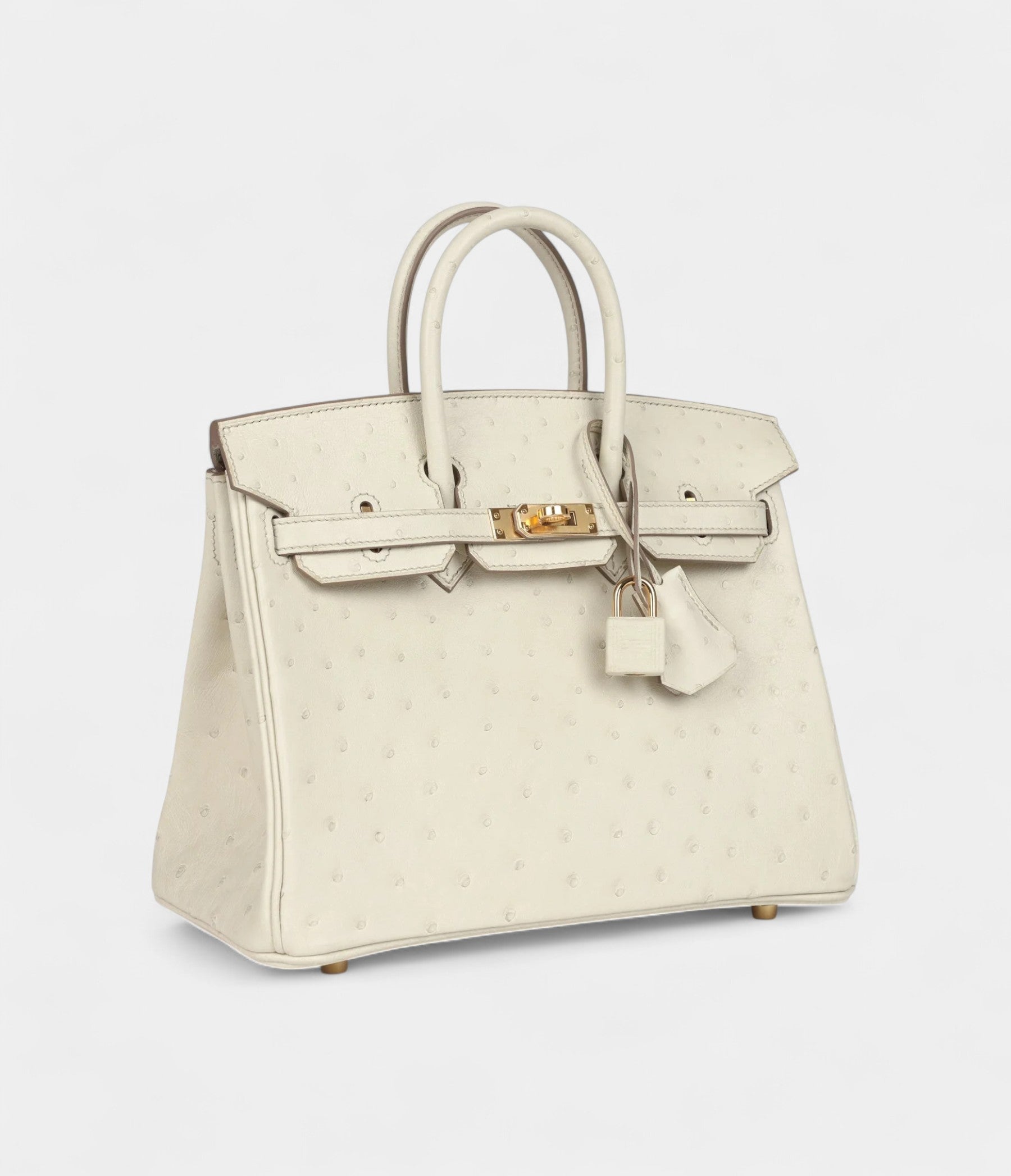 Hermès Birkin 25 Beton Ostrich Gold Hardware