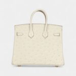 Hermès Birkin 25 Beton Ostrich Gold Hardware