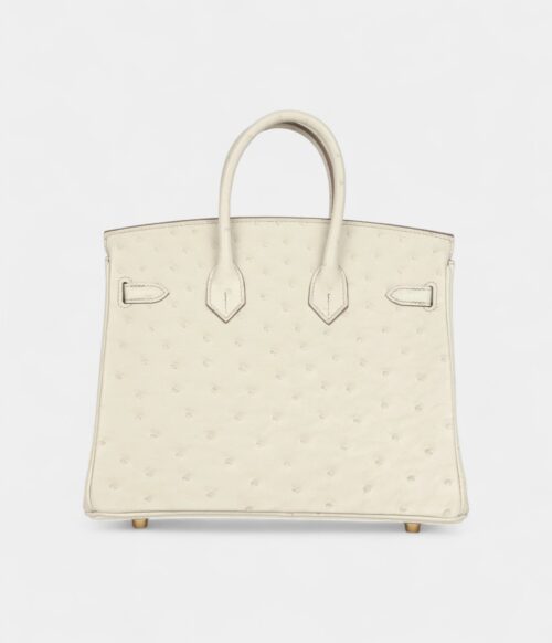 Hermès Birkin 25 Beton Ostrich Gold Hardware