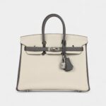 Hermès Birkin 25 Beton and Etain Togo Brushed Palladium Hardware
