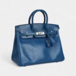 Hermès Birkin 25 Bleu Izmir Varanus Niloticus Lizard Palladium Hardware