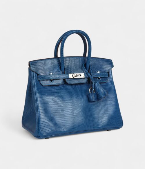 Hermès Birkin 25 Bleu Izmir Varanus Niloticus Lizard Palladium Hardware