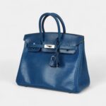 Hermès Birkin 25 Bleu Izmir Varanus Niloticus Lizard Palladium Hardware