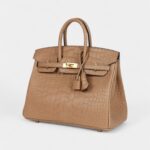Hermès Birkin 25 Chai Matte Alligator Gold Hardware