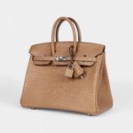 Hermès Birkin 25 Chai Matte Alligator Palladium Hardware