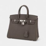 Hermès Birkin 25 Cm Handbag In Grey Togo Leather
