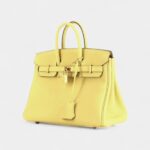 Hermes Birkin 25 Cm Handbag In Jaune Poussin Togo Leather