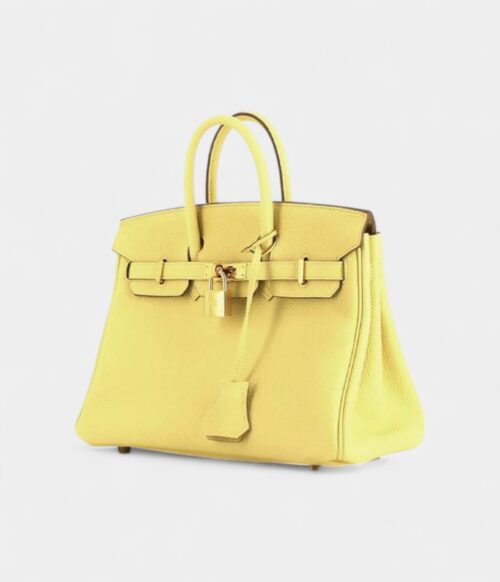 Hermes Birkin 25 Cm Handbag In Jaune Poussin Togo Leather