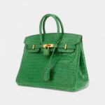 Hermès Birkin 25 Cm Handbag In Vert Cactus Porosus Crocodile