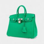Hermès Birkin 25 Cm Handbag In Vert Menthe Swift Leather