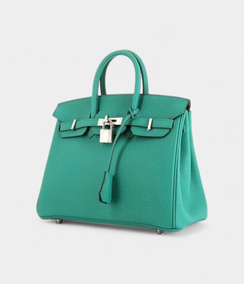 Hermes Birkin 25 Cm Handbag in Vert Veronese Togo Leather